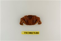藏品(字纹弓蟹)的圖片